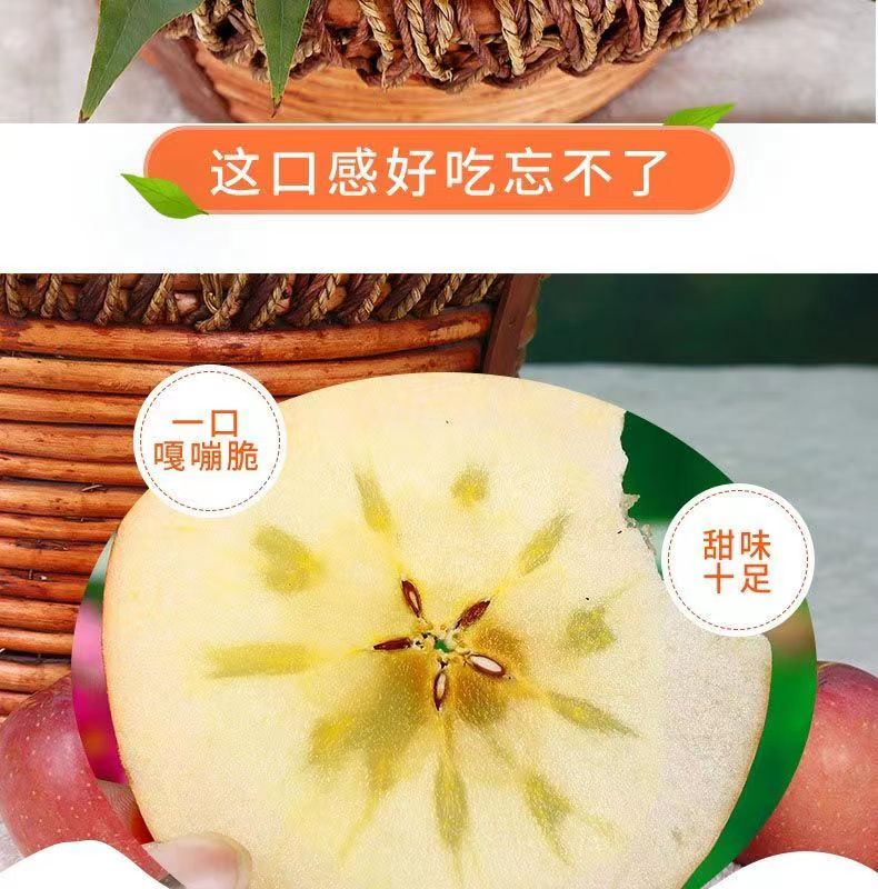 微信图片_20230317164239.jpg
