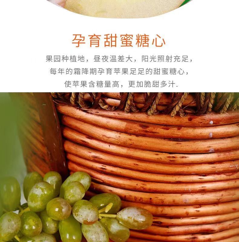 微信图片_20230317164244.jpg