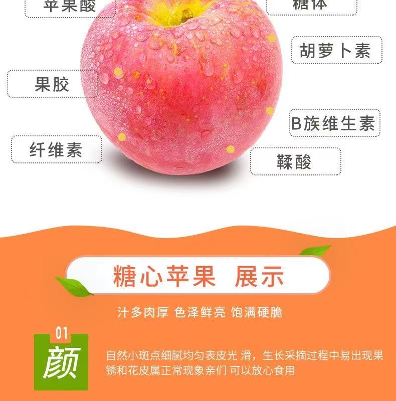 微信图片_20230317164302.jpg
