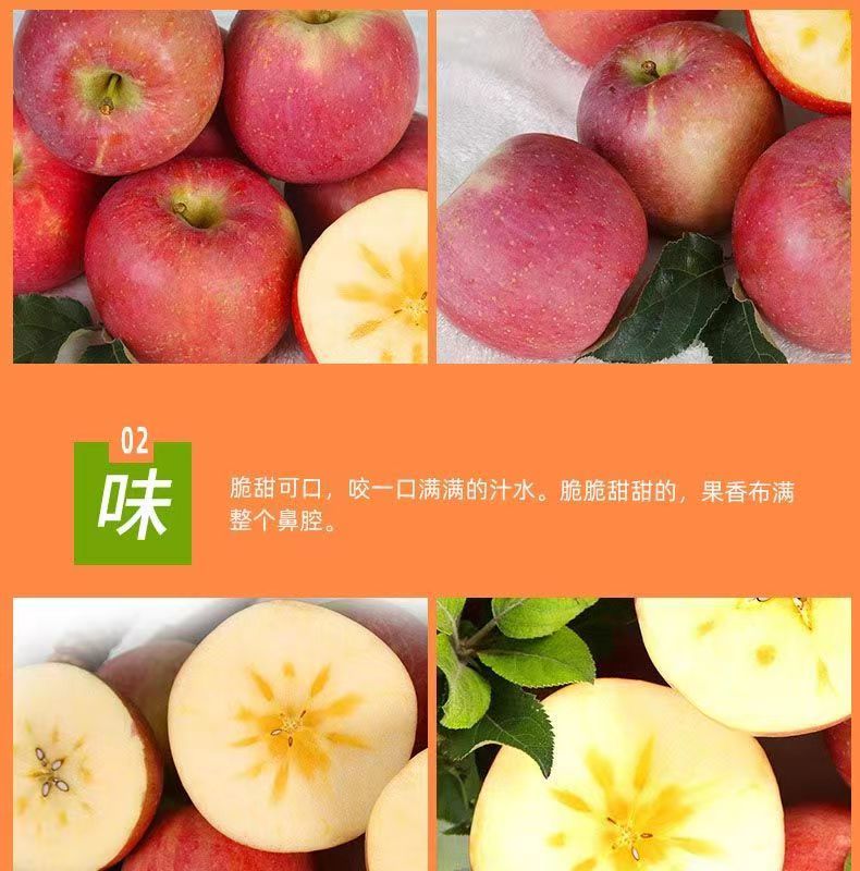 微信图片_20230317164307.jpg