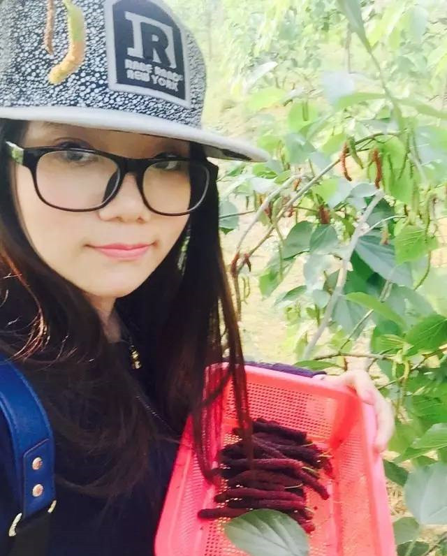 本土风吊燃烧鸡